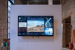 Exhibition view: _PALA_, Seychelles Pavilion, The 60th International Art Exhibition, La Biennale di Venezia, Venice (20 April–24 November 2024). Courtesy La Biennale di Venezia. Photo: Andrea Avezzù.